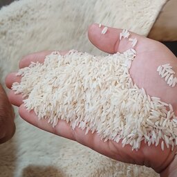 برنج هاشمی عطری یک‌دست سورتینگ زده هدیه یک بسته سبوس برنج قهوه‌ای طعم و عطر خوب تضمین پخت و مرجوعی
