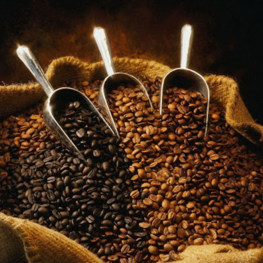 قهوه فوری به همراه پودر تقویتی گانودرما و جنسینگ