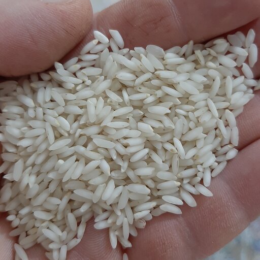 برنج عنبربو شوشتر ممتاز  و فوق اعلاء ( عنبر بو جنوب) مستقیم از تولید کننده