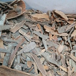 دارچین چوب اصل هندی اعلاء ( در بسته های 100 گرمی )