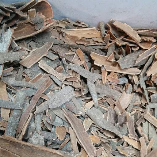 دارچین چوب اصل هندی اعلاء ( در بسته های 100 گرمی )
