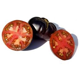بذر گوجه فرنگی سیاه زیبا 5عددی