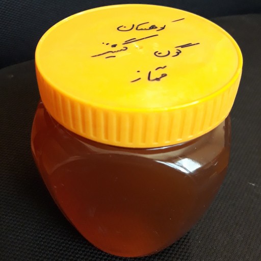 عسل گون گشنیز خالص و طبیعی ممتاز (یک کیلوگرمی) توزیع در سراسر 🇮🇷 با ارسال رایگان
