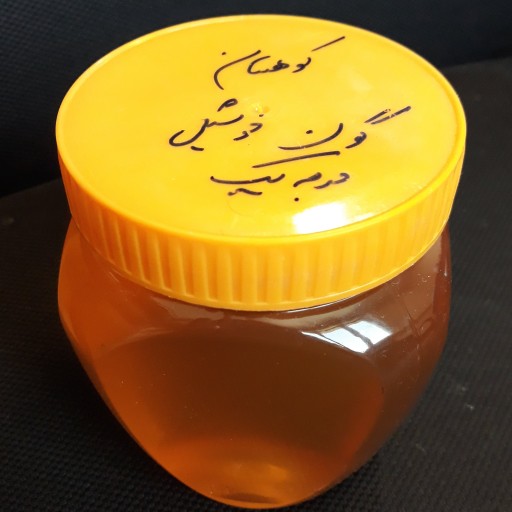 عسل گون خوشیل خالص و طبیعی درجه یک(یک کیلوگرمی) توزیع در سراسر 🇮🇷 با ارسال رایگان