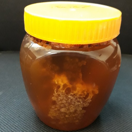 عسل گون گشنیز موم دار طبیعی ممتاز (یک کیلوگرمی)
توزیع در سراسر 🇮🇷 با ارسال رایگان