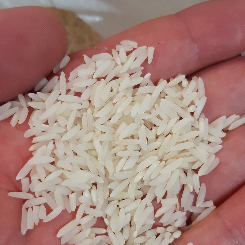 برنج هاشمی درجه یک