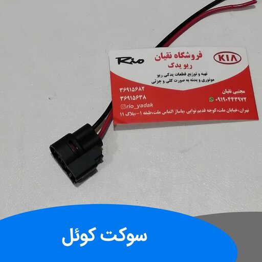 سوکت کوئل ریو ایرانی 2 عدد