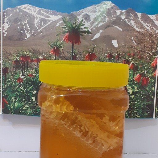 عسل باموم چهل گیاه خوانسار  ( نیم کیلوگرم) عسل با موم لاله کوهی