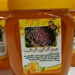 عسل( گون  گز  ساکارز )حدود دو (یک کیلویی) انرژی زا  و تقویت مغز و اعصاب 