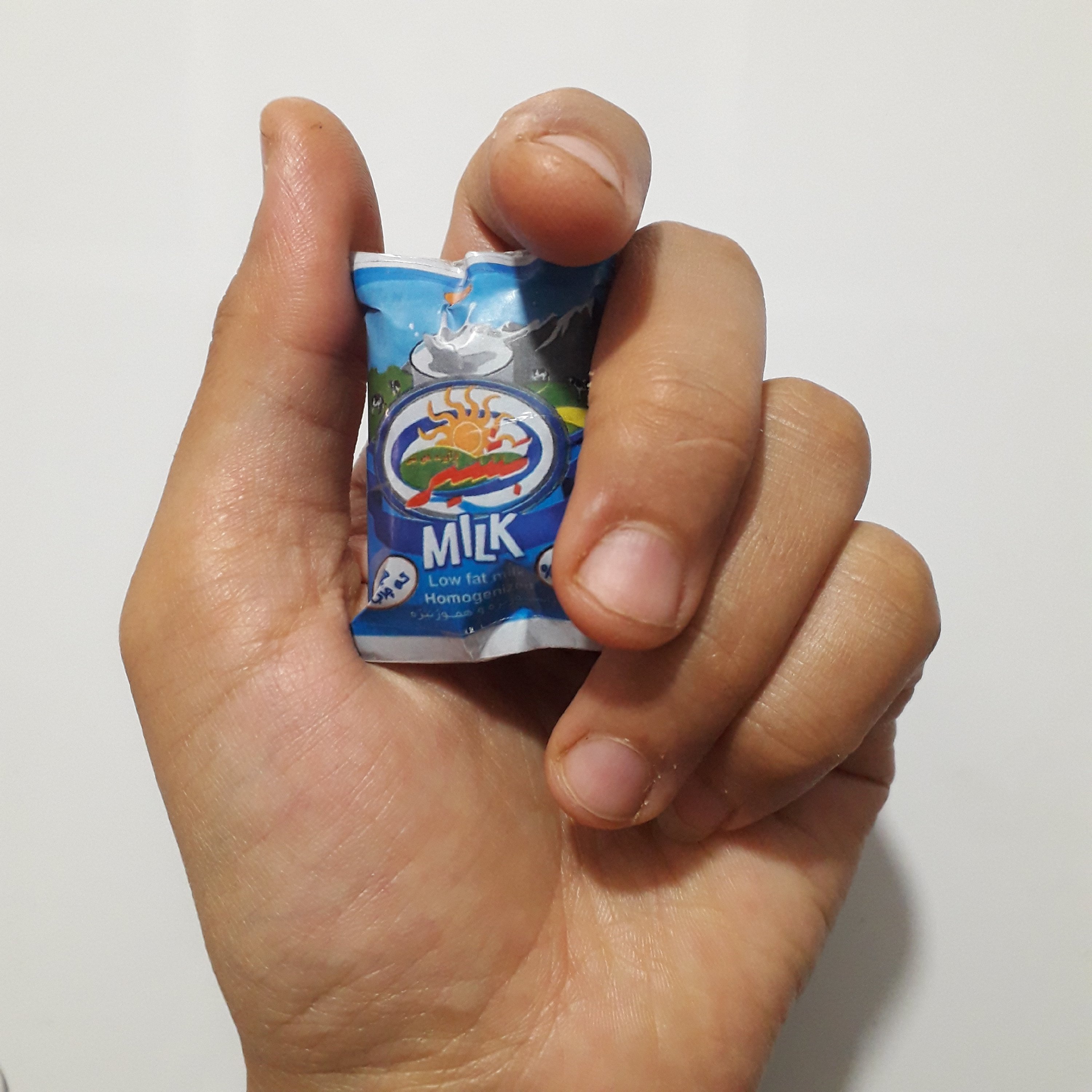 خرید و قیمت سازه مینیاتوری شیر پاکتی پاستوریزه بشیر سایز از غرفه صنایع هنری  کار به کام(پس کرایه)