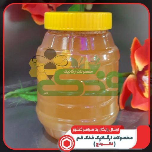 عسل طبیعی رس بسته فدک (500گرم) 