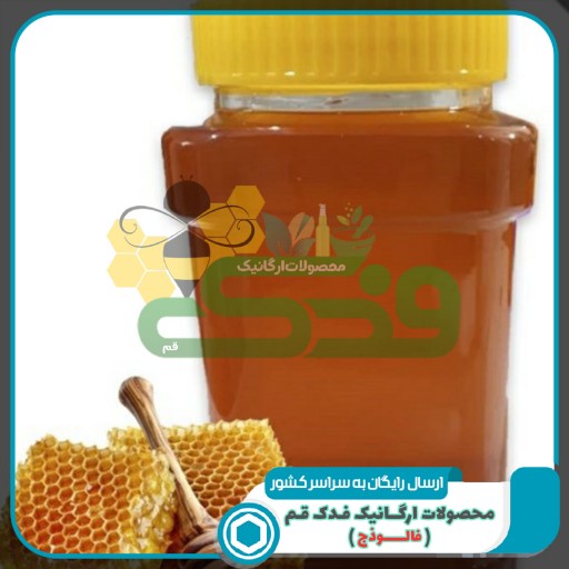 عسل طبیعی درمانی رس بسته فدک (1000 گرم)