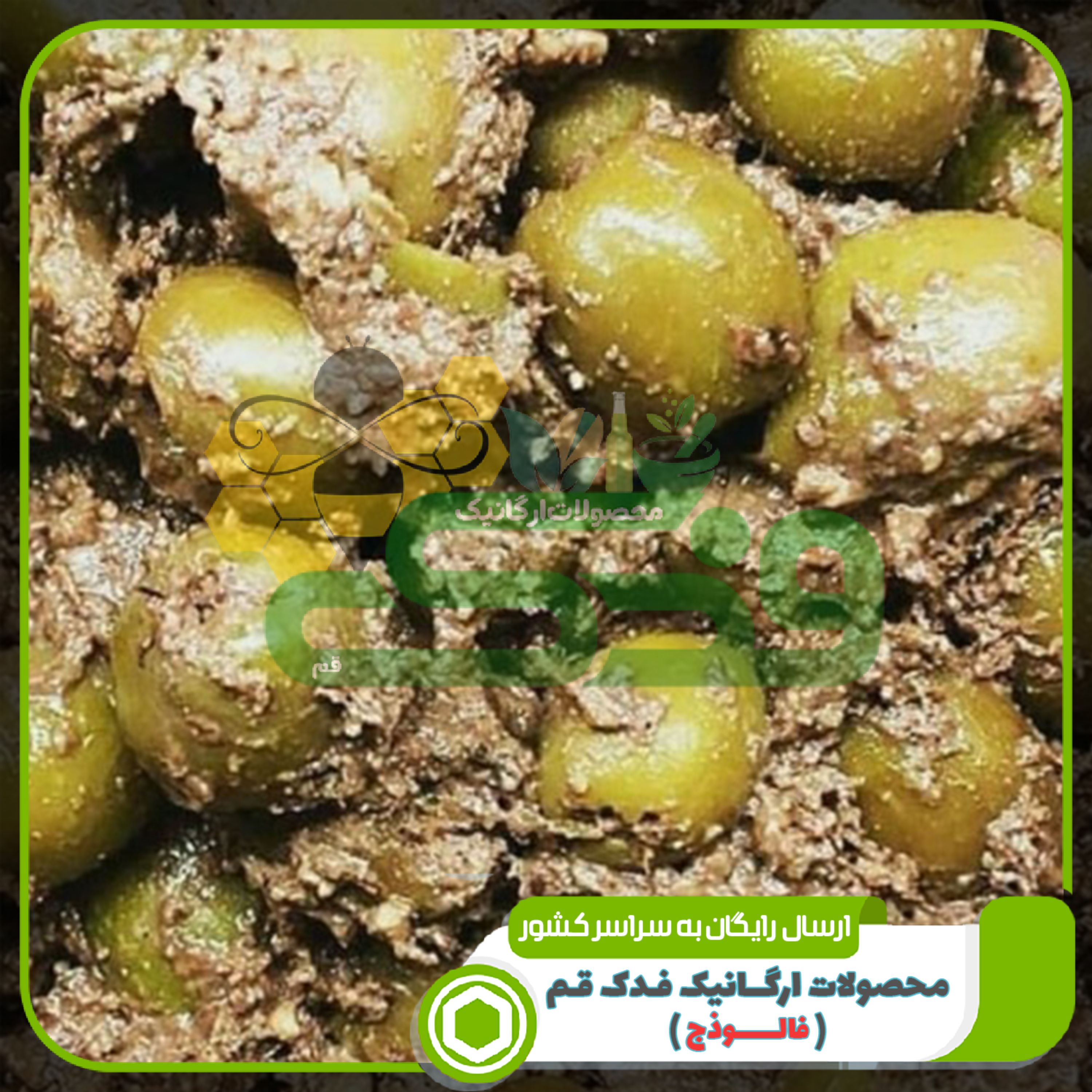 زیتون پرورده گردویی رضوان فدک (400 گرم)