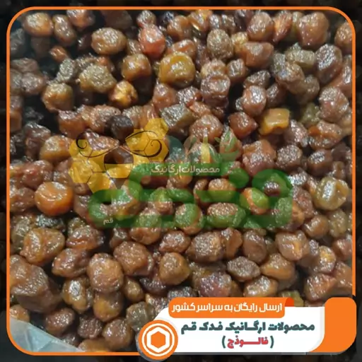 آلوبخارا ممتاز فدک (500گرم)