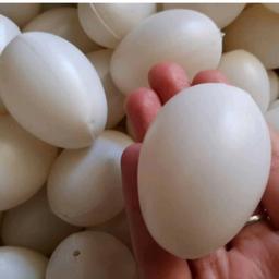 تخم مرغ پلاستیکی تزئینی سفید(50 عددی) هایپر آذین 