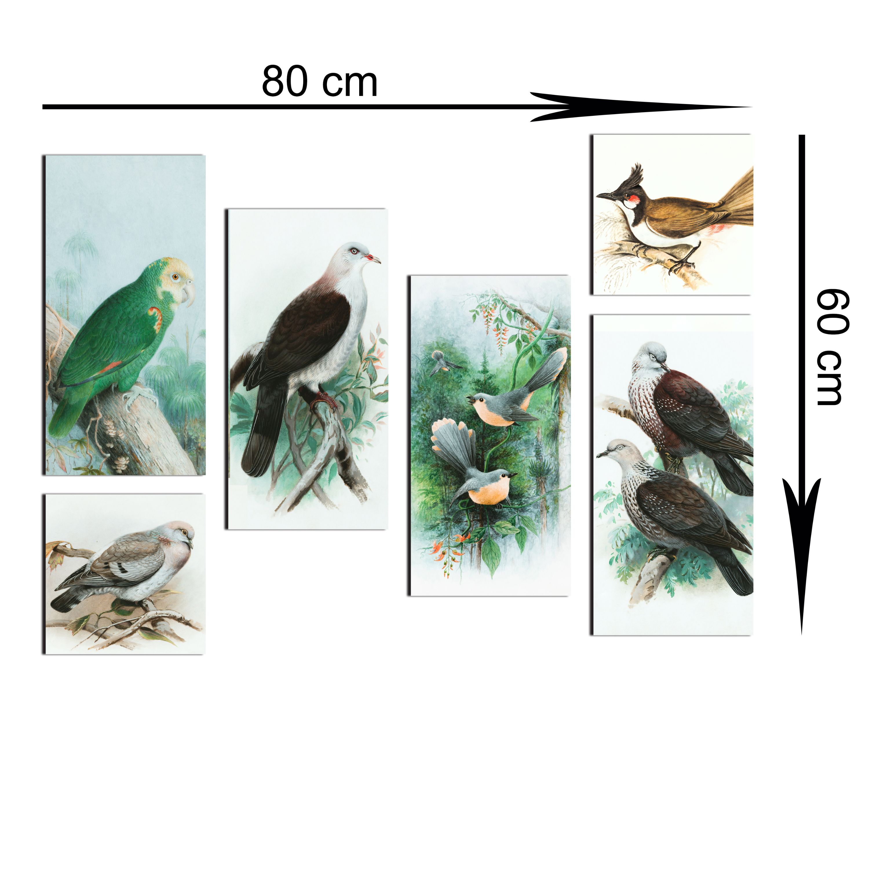 تابلو شاسی 6 تکه طرح نقاشی پرندگان کد 119 سایز 60x80 سانتیمتر