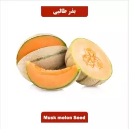 بذر  طالبی کد9 آقای عطار