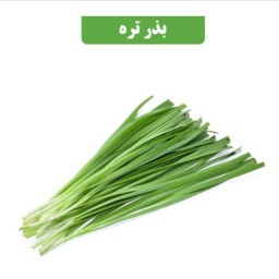 بذر تره کد9 آقای عطار