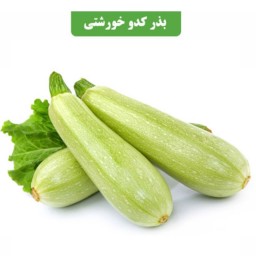 بذر کدو  کد9 آقای عطار