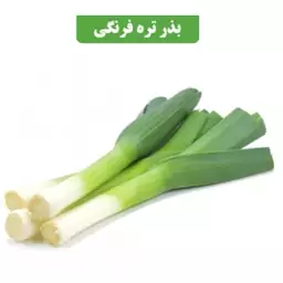 بذر تره فرنگی کد9 آقای عطار