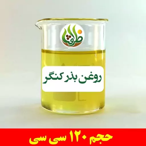 روغن بذر کنگر ظرافت 120 سی سی