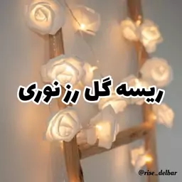 ریسه گل رز نوری 