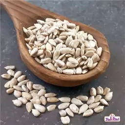 مغز تخمه آفتابگردان روغنی 250 گرمی تازه و خوش طعم