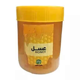 عسل طبیعی رس بسته فدک (500گرم)