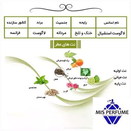 عطر مردانه لاگوست اسنشیال برند پارفاروم گریدHi