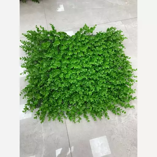 گرین وال شمشادی پرتراکم (دیوار سبز) 50در50 cm،(پس کرایه )