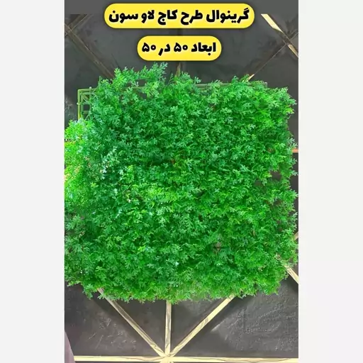 گرین وال (دیوار سبز) کاج لاوسون پرتراکم 50در50 cm (پس کرایه)