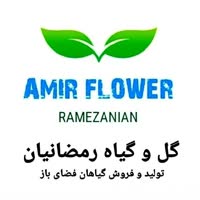 گل و گیاه رمضانیان 1