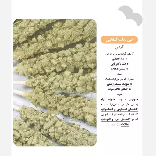 نی نبات آویشن 