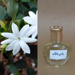 عطر گل یاس - عطر گرمی خالص 8گرمی