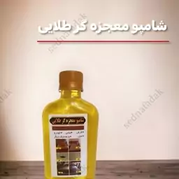 پاک کننده فرش ولباس وخودرو