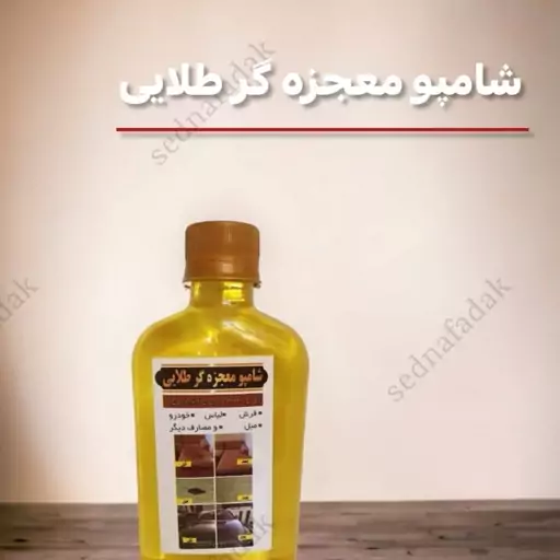 پاک کننده فرش ولباس وخودرو