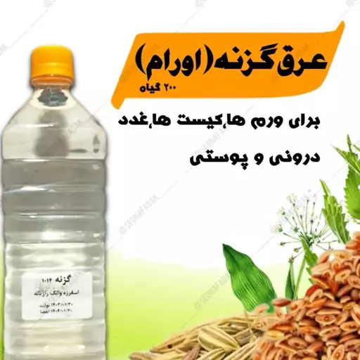 عرق گزنه