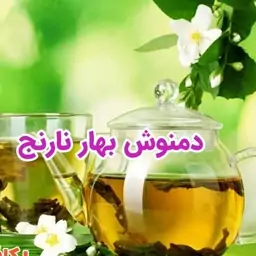 دمنوش بهارنارنج سودابر افزایش تمرکز تی بگ 20 عددی