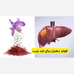 دمنوش زعفران تی بگ 20 عددی تصفیه خون و کبد