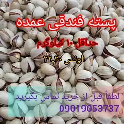 پسته فندقی عمده کرمان (پس کرایه)