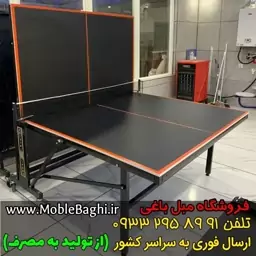 میز پینگ پنگ ملامینه T107 ( پس کرایه ) 