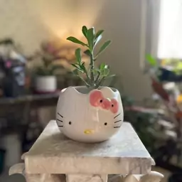 گلدان فانتزی Hello Kitty (پس کرایه)