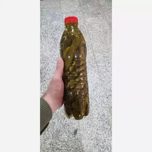 خیارشور سوپر ویژه 