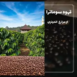 قهوه عربیکا سوماترا  250 گرمی 