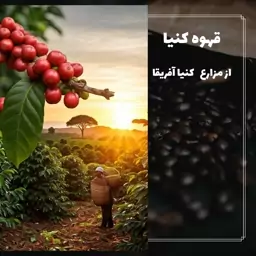 قهوه عربیکا کنیا 250 گرمی ( دانه یا آسیاب)