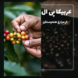 قهوه عربیکا پی ال 250 گرمی (بصورت دان قهوه یا آسیاب پیش از ارسال)