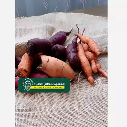 سیب زمینی شیرین به صورت ضربه خرده و سایز کوچک(ارسال با تیپاکس و پسکرایه )