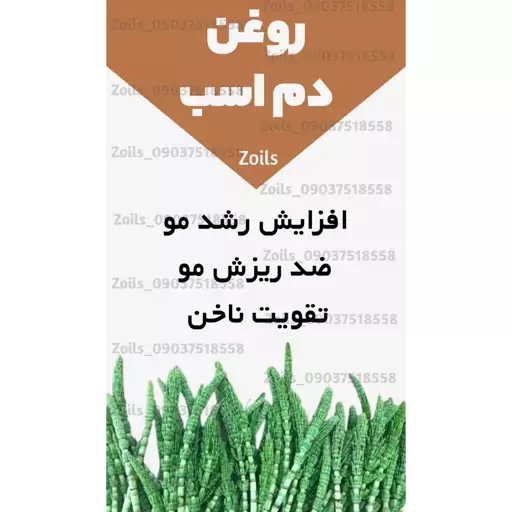 روغن دم اسب اصل زداوی ربع لیتری (سیاه کننده مو-پرپشت کننده مو-پرپشت کننده ابرو و مژه-تقویت ناخن-رشد ناخن-سفت کننده ناخن)