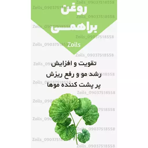 روغن براهمی ربع لیتری زداویلز هندی اصل(پرپشت کننده مو پرپشت کننده ابرو تقویت مژه تقویت ریش و سبیل)