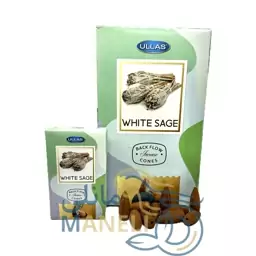 عود خوشبو کننده آبشاری اولاس ullas مدل وایت سیج ( مریم گلی ) White Sage